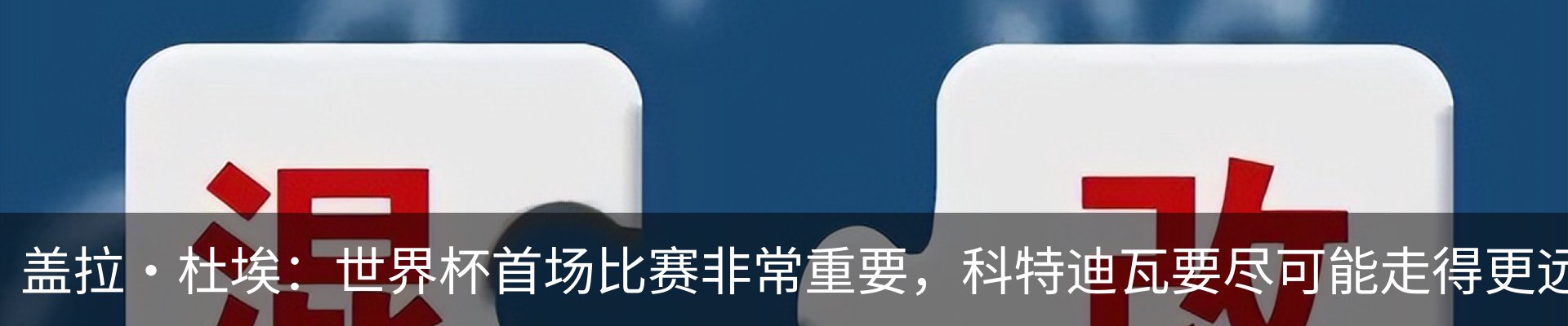 新闻动态
